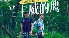 感谢张佳宁,救了《大江大河3》,也让观众看到杨采钰的真实演技